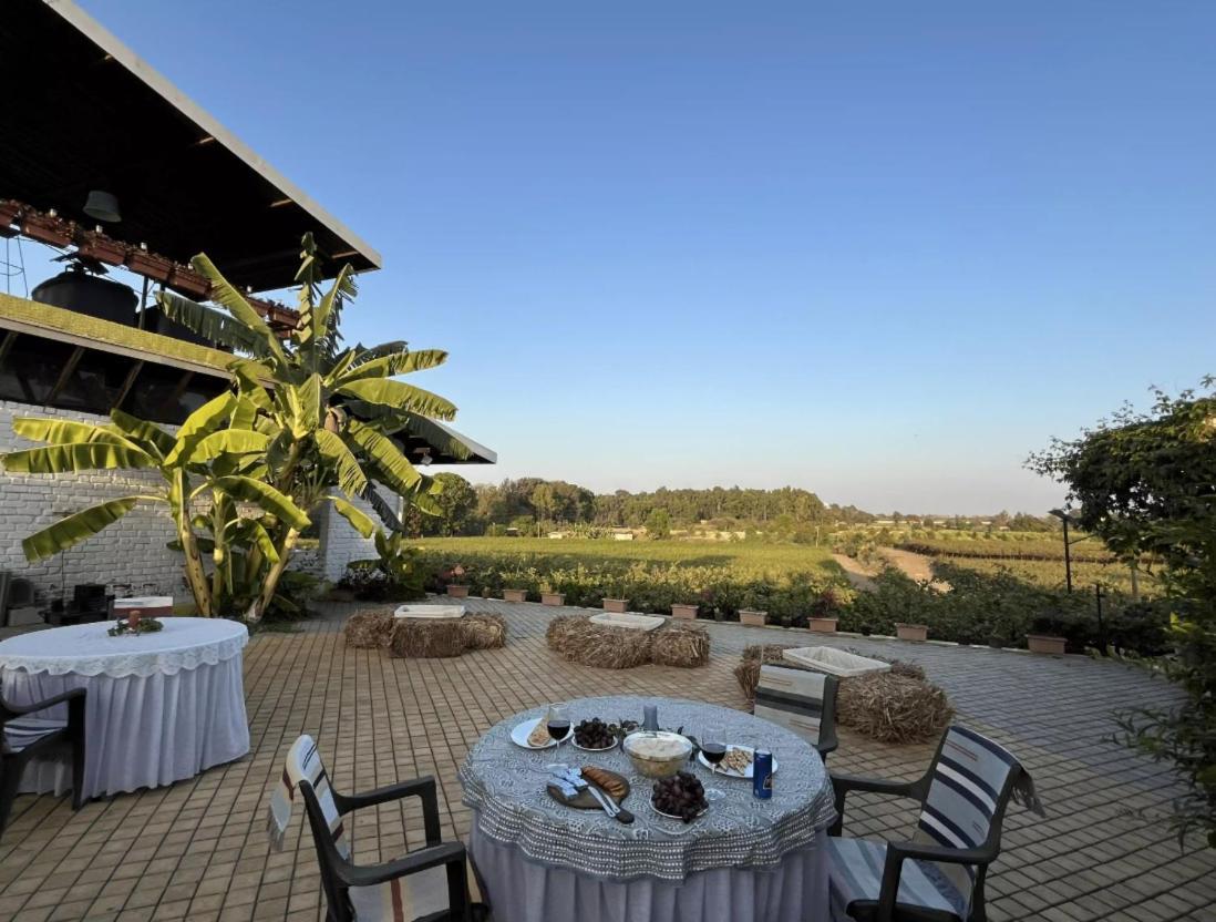 Saffronstays Onellaa, Nashik - Infinity Pool Villa Surrounded By A Vineyard Zewnętrze zdjęcie